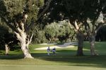 4 November 2007 Valderrama Golfclub ( Spanje )
Finaledag Volvo Masters Seizoen 2007
Robert Jan Derksen (38e en totaal verdiend 809.000 euro )