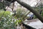 Laren 1 en 2 maart 2008
Sander Vahle heeft bij zijn vriendin Heleen Kolff geslapen en gaat daarna met haar naar zijn nieuwe huis kijken.
Peter Smulders bv