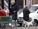Amsterdam 14 januari 2009
Simone Kleinsma met Guus Verstraete en hond op de cornelis schuytstraat.
Peter Smulders bv