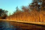 Herfst op de vinkenveense Plassen