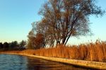 Herfst op de vinkenveense Plassen