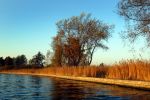 Herfst op de vinkenveense Plassen met ondergaande zon