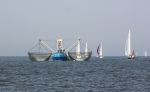31 Juli 2008, Tussen  Harlingen en Vlieland op de Waddenzee
HA 61 van W. Toering Hendstehof 20
8861 TT Harlingen 0517-413887
E-mail: andre-saskiaÃ¯Â¿Â½hetnet.nl