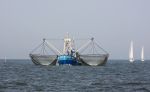 31 Juli 2008, Tussen  Harlingen en Vlieland op de Waddenzee
HA 61