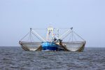 31 Juli 2008, Tussen  Harlingen en Vlieland op de Waddenzee
HA 61 v
