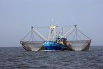 31 Juli 2008, Tussen  Harlingen en Vlieland op de Waddenzee
HA 61 van W. Toering Hendstehof 20
8861 TT Harlingen 0517-413887
E-mail: andre-saskiaÃ¯Â¿Â½hetnet.nl
