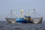 31 Juli 2008, Tussen  Harlingen en Vlieland op de Waddenzee
HA 61