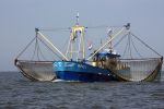 31 Juli 2008, Tussen  Harlingen en Vlieland op de Waddenzee
HA 61