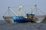 31 Juli 2008, Tussen  Harlingen en Vlieland op de Waddenzee
HA 61 van W. Toering Hendstehof 20
8861 TT Harlingen 0517-413887
E-mail: andre-saskiaÃ¯Â¿Â½hetnet.nl