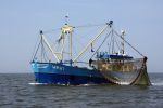 31 Juli 2008, Tussen  Harlingen en Vlieland op de Waddenzee
HA 61