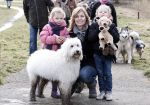 Diemen 14  februari 2009
Wandeltocht voor honden in het diemer bos. Vivian Slingerland met puck en Rebel
Peter Smulders bv