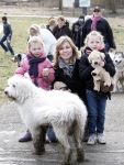 Diemen 14  februari 2009
Wandeltocht voor honden in het diemer bos. Vivian Slingerland met puck en Rebel
Peter Smulders bv
