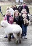 Diemen 14  februari 2009
Wandeltocht voor honden in het diemer bos. Vivian Slingerland met puck en Rebel
Peter Smulders bv