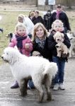 Diemen 14  februari 2009
Wandeltocht voor honden in het diemer bos. Vivian Slingerland met puck en Rebel
Peter Smulders bv
