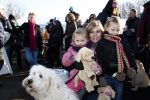 Diemen 14  februari 2009
Wandeltocht voor honden in het diemer bos. Vivian Slingerland met puck en Rebel
Peter Smulders bv