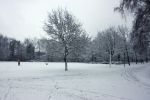 Eindhoven, 5 Januari 2009
Sneeuw en bevroren riviertjes