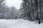 Eindhoven, 5 Januari 2009
Sneeuw en bevroren riviertjes