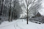 Eindhoven, 5 Januari 2009
Sneeuw en bevroren riviertjes