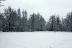 Eindhoven, 5 Januari 2009
Sneeuw en bevroren riviertjes