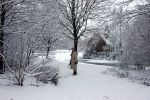 Eindhoven, 5 Januari 2009
Sneeuw en bevroren riviertjes