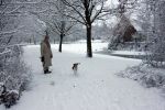 Eindhoven, 5 Januari 2009
Sneeuw en bevroren riviertjes