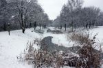 Eindhoven, 5 Januari 2009
Sneeuw en bevroren riviertjes
