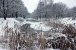 Eindhoven, 5 Januari 2009
Sneeuw en bevroren riviertjes