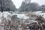 Eindhoven, 5 Januari 2009
Sneeuw en bevroren riviertjes