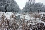 Eindhoven, 5 Januari 2009
Sneeuw en bevroren riviertjes