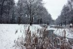 Eindhoven, 5 Januari 2009
Sneeuw en bevroren riviertjes