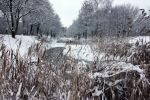 Eindhoven, 5 Januari 2009
Sneeuw en bevroren riviertjes