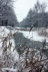 Eindhoven, 5 Januari 2009
Sneeuw en bevroren riviertjes