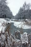 Eindhoven, 5 Januari 2009
Sneeuw en bevroren riviertjes