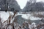 Eindhoven, 5 Januari 2009
Sneeuw en bevroren riviertjes