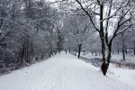 Eindhoven, 5 Januari 2009
Sneeuw en bevroren riviertjes