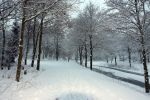 Eindhoven, 5 Januari 2009
Sneeuw en bevroren riviertjes