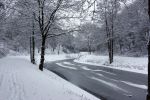 Eindhoven, 5 Januari 2009
Sneeuw en bevroren riviertjes