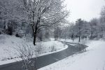 Eindhoven, 5 Januari 2009
Sneeuw en bevroren riviertjes