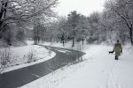 Eindhoven, 5 Januari 2009
Sneeuw en bevroren riviertjes
