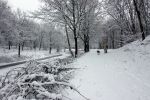 Eindhoven, 5 Januari 2009
Sneeuw en bevroren riviertjes