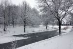 Eindhoven, 5 Januari 2009
Sneeuw en bevroren riviertjes