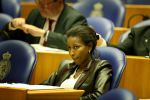Den Haag 12 maart 2003
Debat in de 2e kamer 

Ayaan Hirsi Ali

Peter Smulders bv