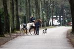 Bosch en Duin 4 december 2008
Belinda Meuldijk en Thiery Duval  op het paard rijden in de bossen bij hun huis in Bosch en duin.
Peter Smulders bv
