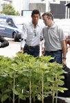 Amsterdam 8 juli 2008
Cristiano Ronaldo op krukken op vliegveld Schiphol nadat hij in Amsterdam geopereerd is aan zijn enkel.