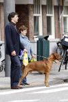 Amsterdam 11 september 2007
Edwin de Roy v Zuijdewijn met zijn hond wandelend op straat.