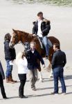Schagen 17 april 2008
Opnames videoclip Gerard Joling met paarden op het strand. Geert Hoes en Wino Ontzigt zijn ook aanwezig.
Peter Smulders bv
