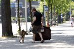 Amsterdam 10 mei 2008
Gijs Staverman met zijn hond in BMW cabrio en wandelend op straat met honden kussen