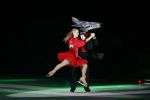 Rotterdam 25 oktober 2007
Premiere Holiday on ice in ahoy. Geert Hoes en Sitah doen mee in de show