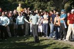 4 November 2007 Valderrama Golfclub ( Spanje )
Finaledag Volvo Masters Seizoen 2007
Justin Rose ( Winnaar en Algemeen Europees Kampioen )