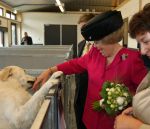 Herpen ( Gemeente Oss ),  27 Mei 2008
Koningin Beatrix bij opening van het nieuwe gebouw 